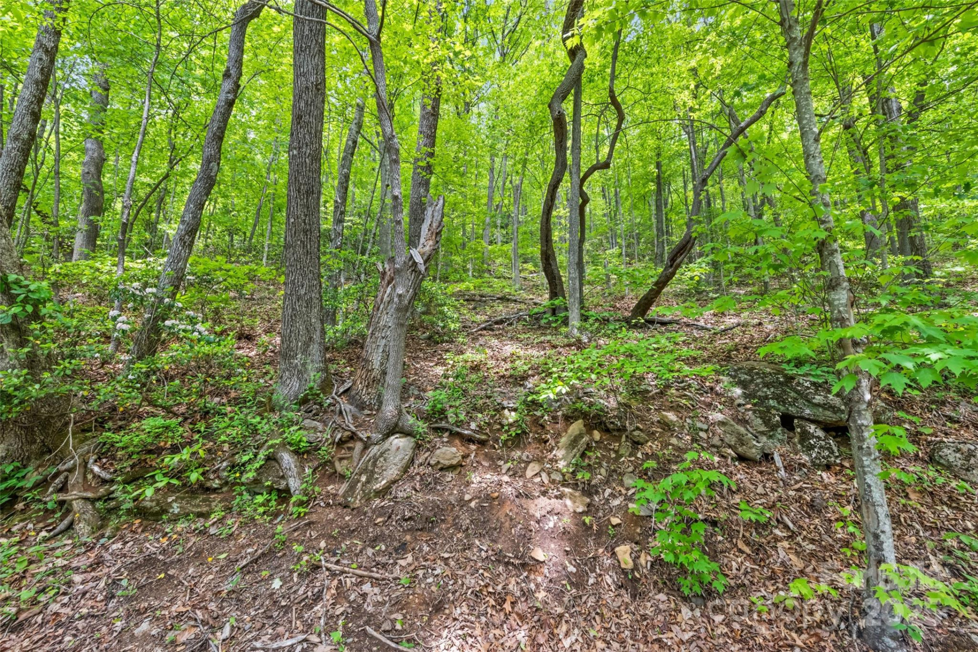 Lot 4 & 5 BLK 3 Skyline Drive - Photo 8