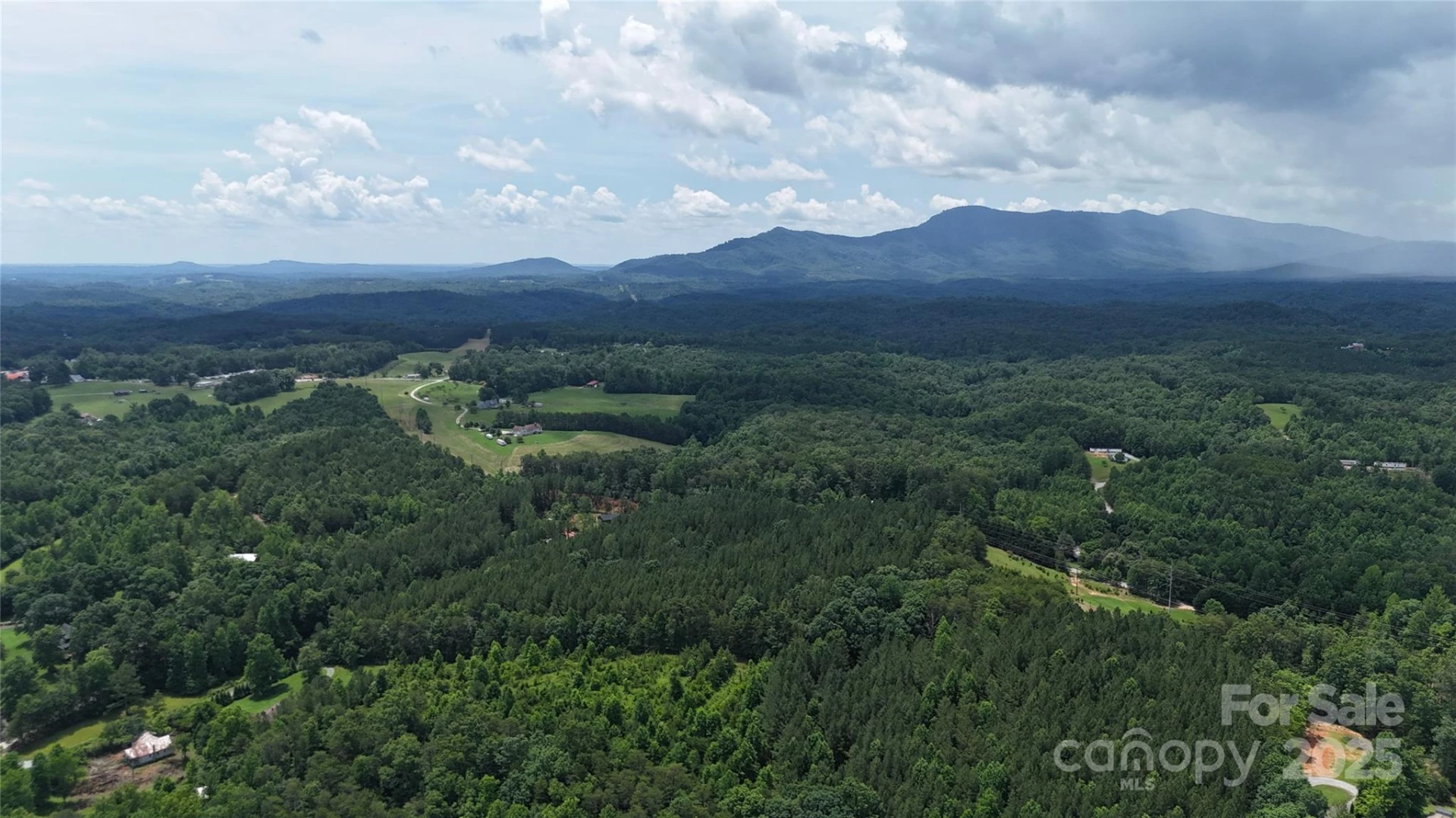 221 Flat Branch Trail - Photo 30