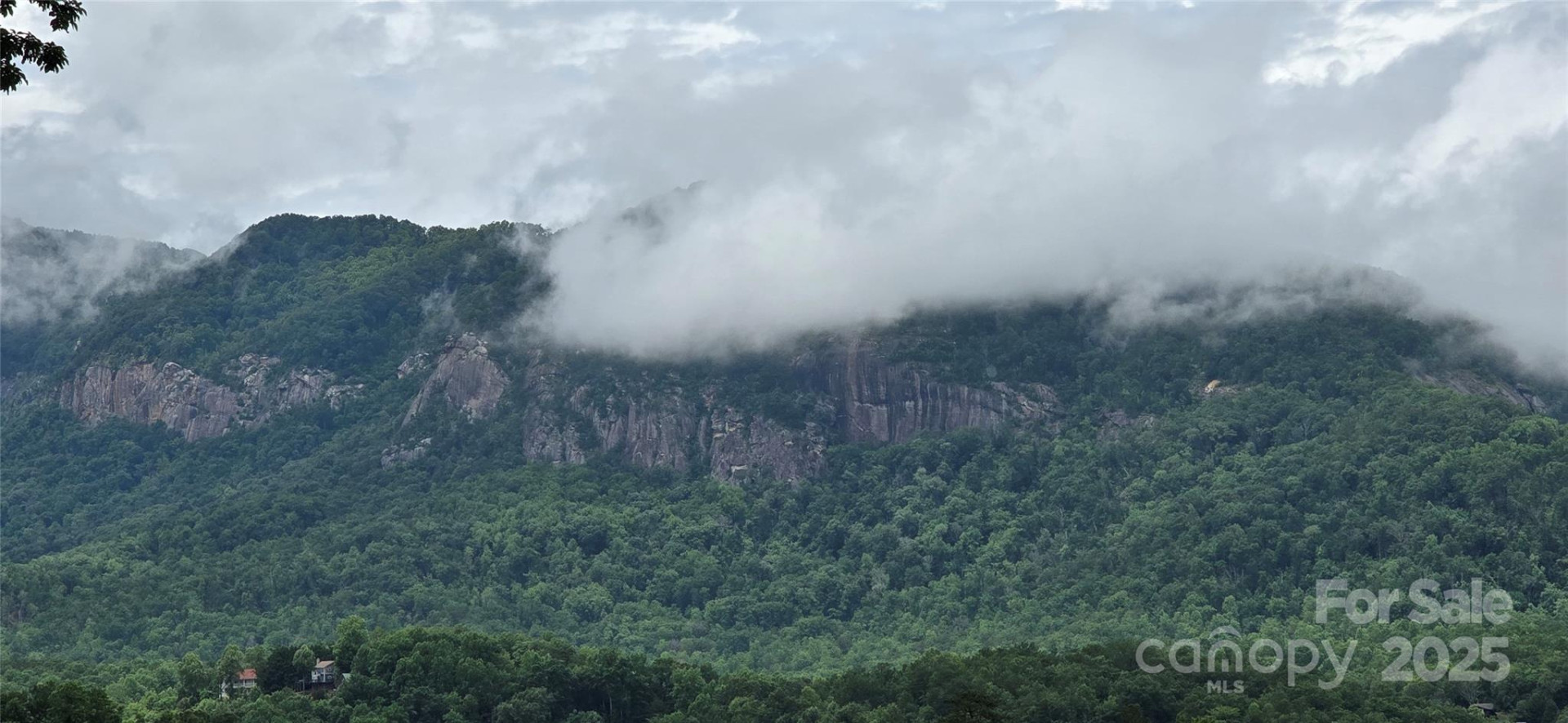 221 Flat Branch Trail - Photo 32