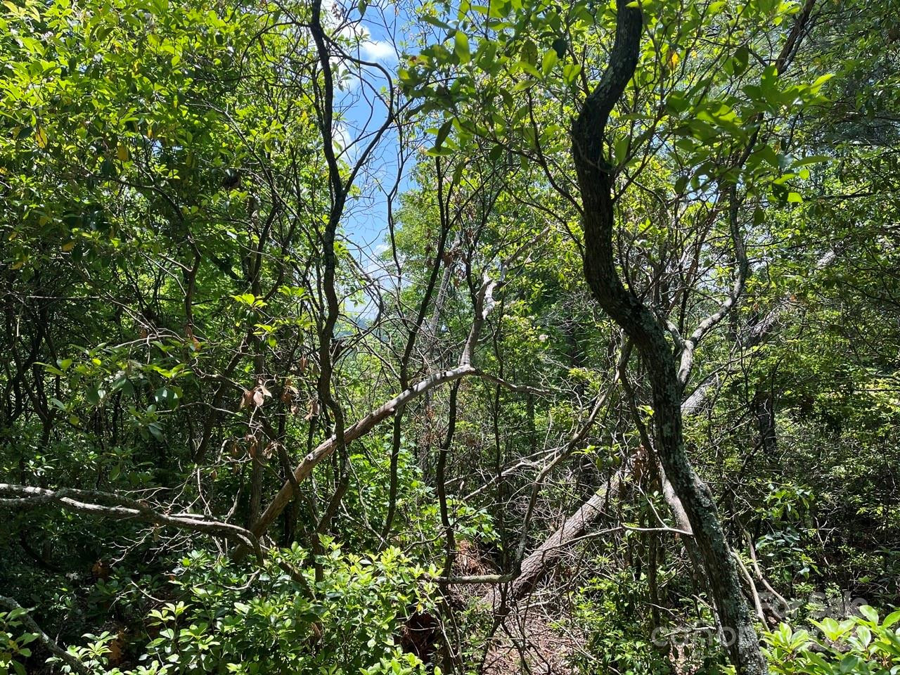 0000 Humpback Mountain Road - Photo 11