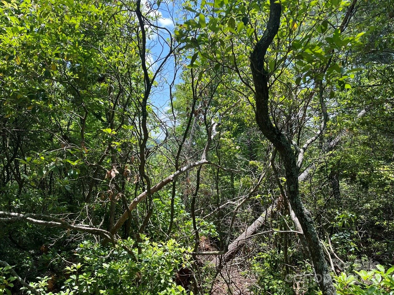 0000 Humpback Mountain Road - Photo 11