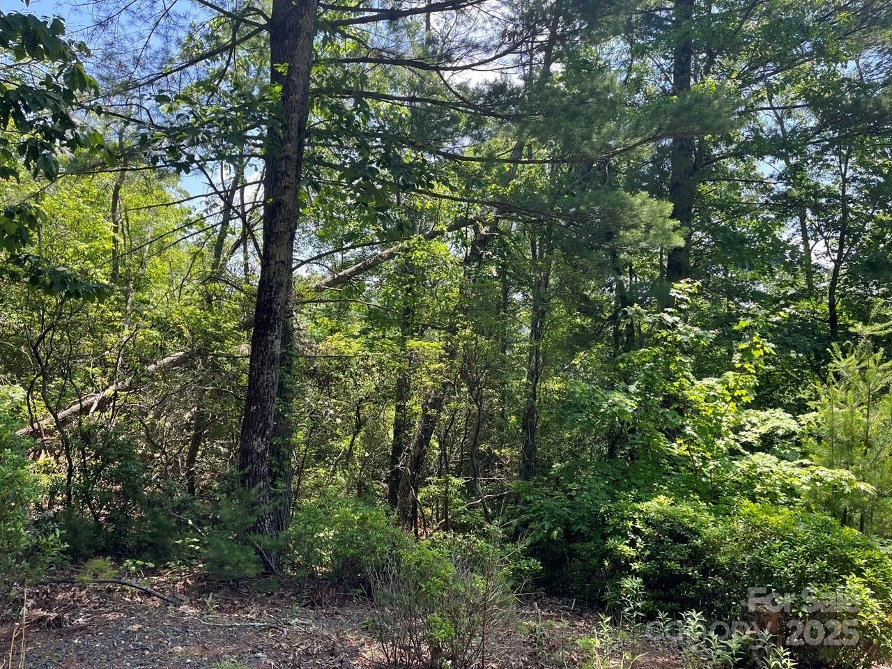 0000 Humpback Mountain Road - Photo 12