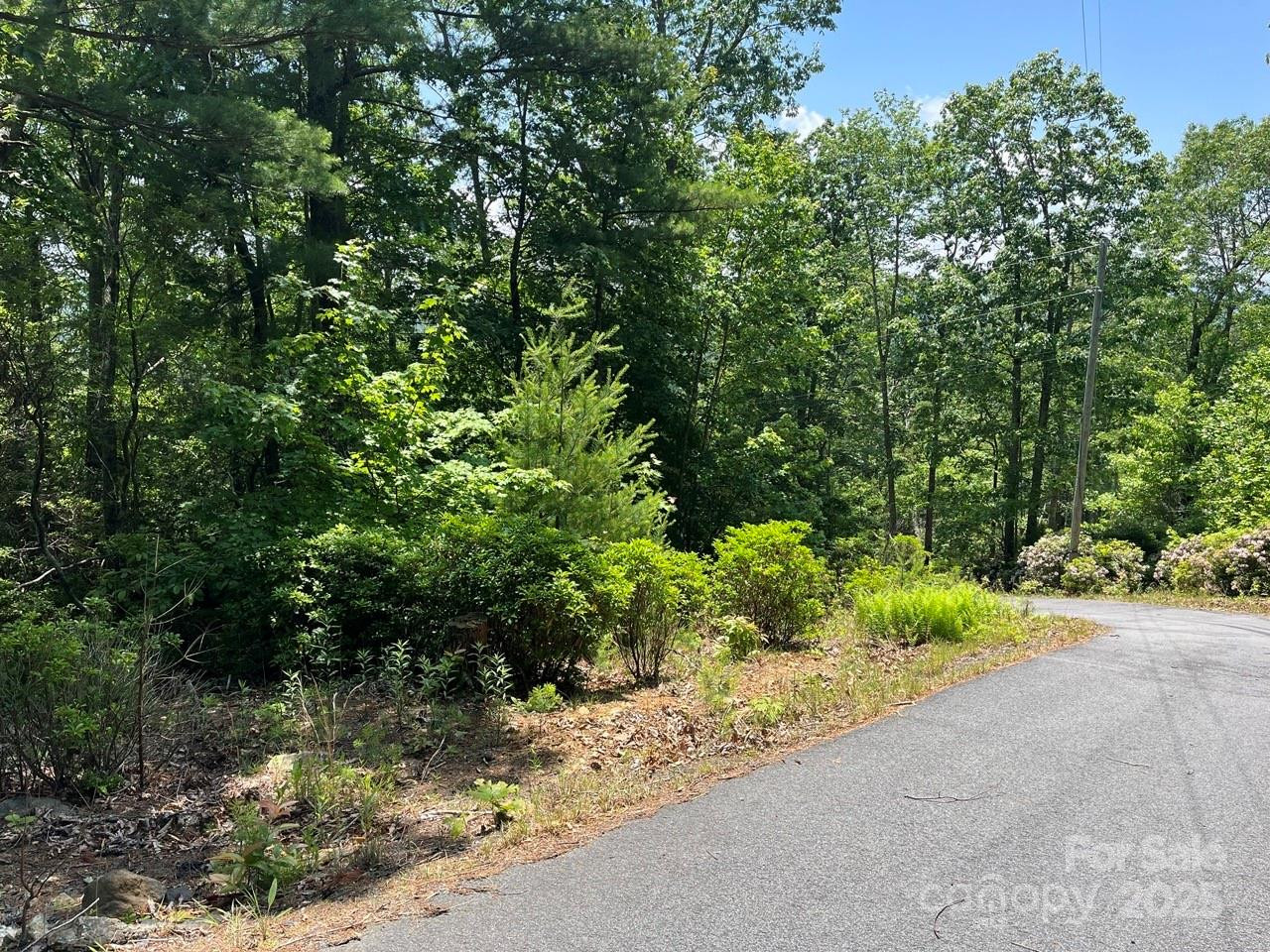 0000 Humpback Mountain Road - Photo 13