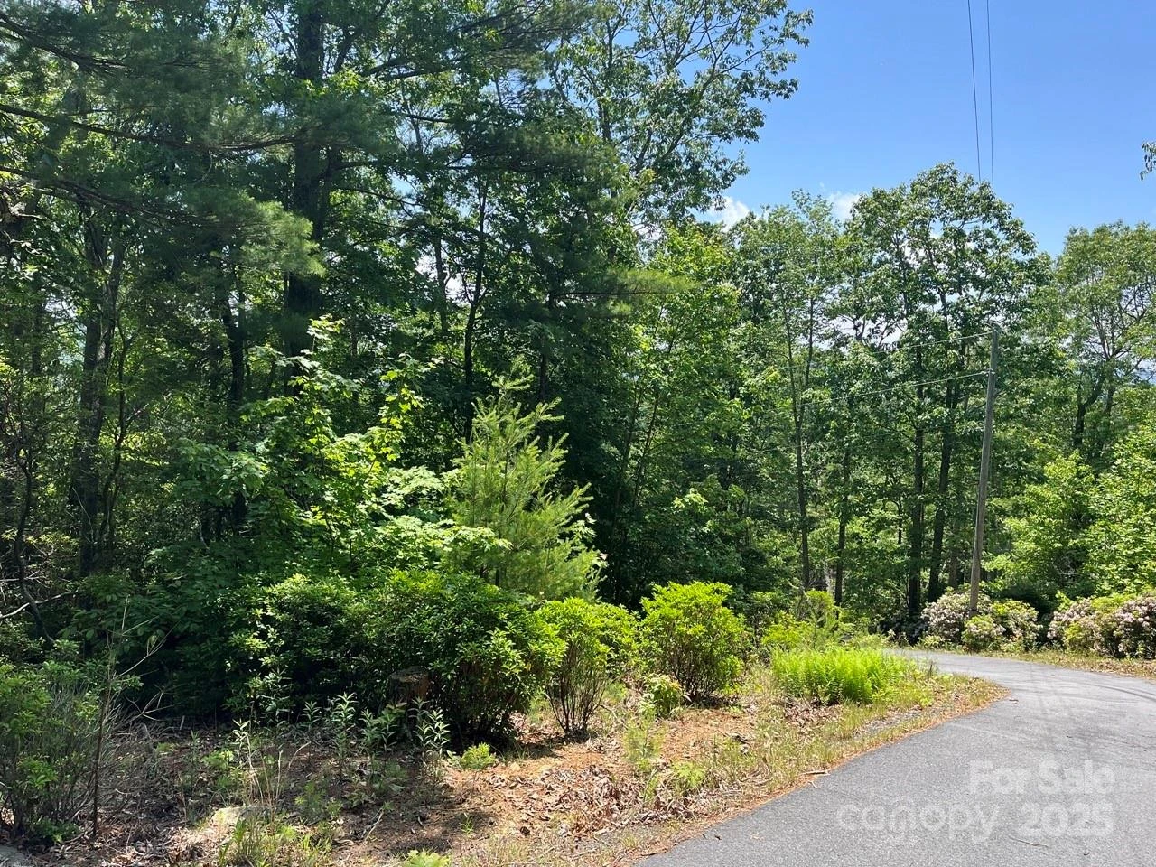0000 Humpback Mountain Road - Photo 14
