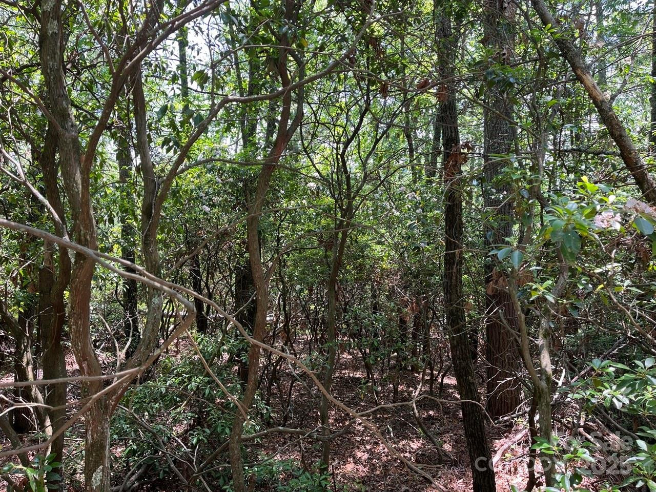 0000 Humpback Mountain Road - Photo 15