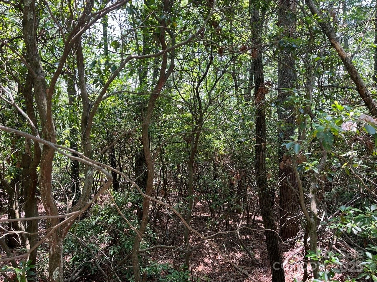 0000 Humpback Mountain Road - Photo 15