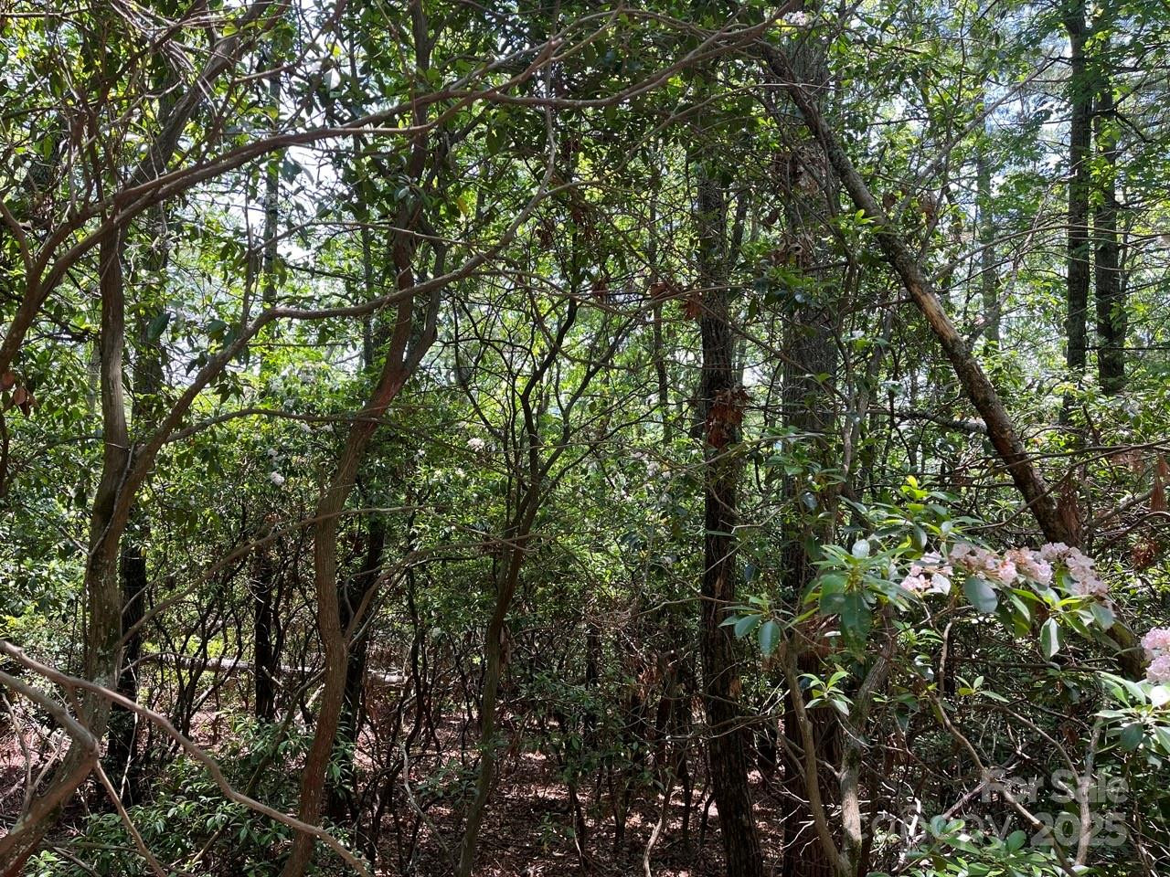 0000 Humpback Mountain Road - Photo 16