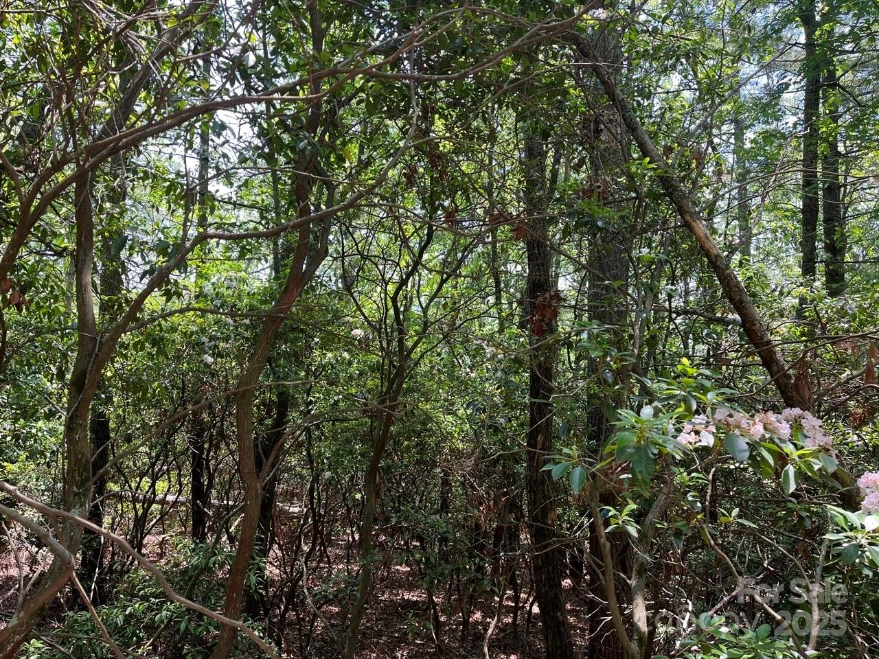 0000 Humpback Mountain Road - Photo 16