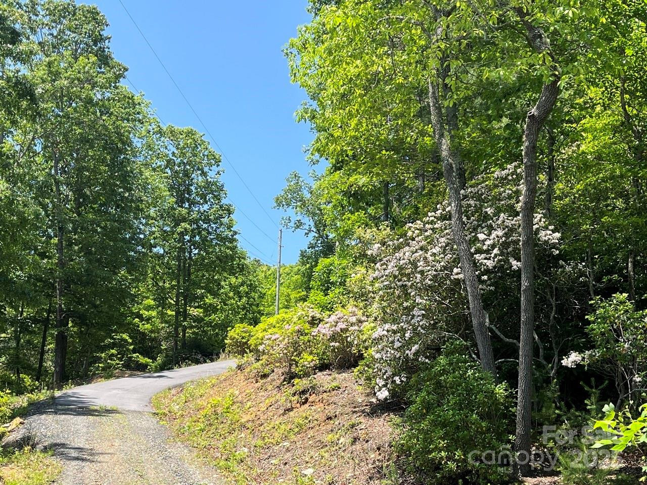 0000 Humpback Mountain Road - Photo 17