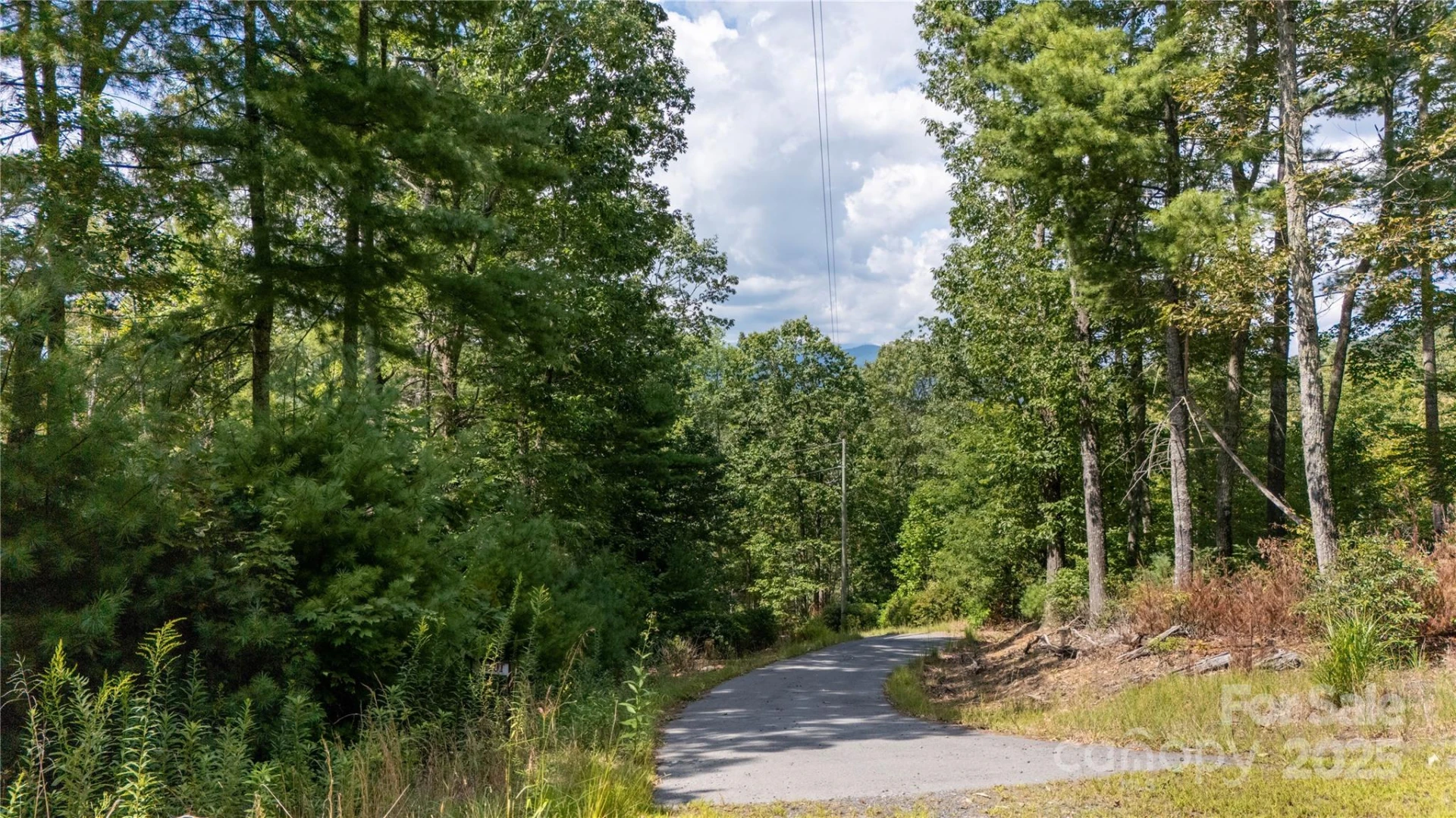 0000 Humpback Mountain Road - Photo 19