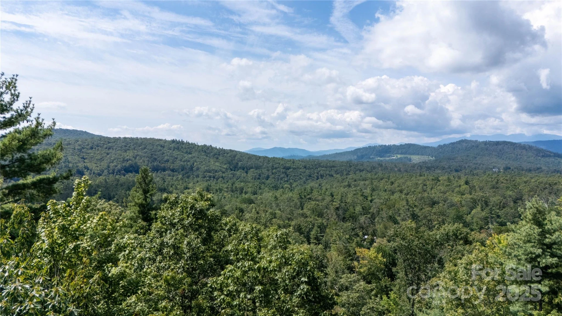 0000 Humpback Mountain Road - Photo 25