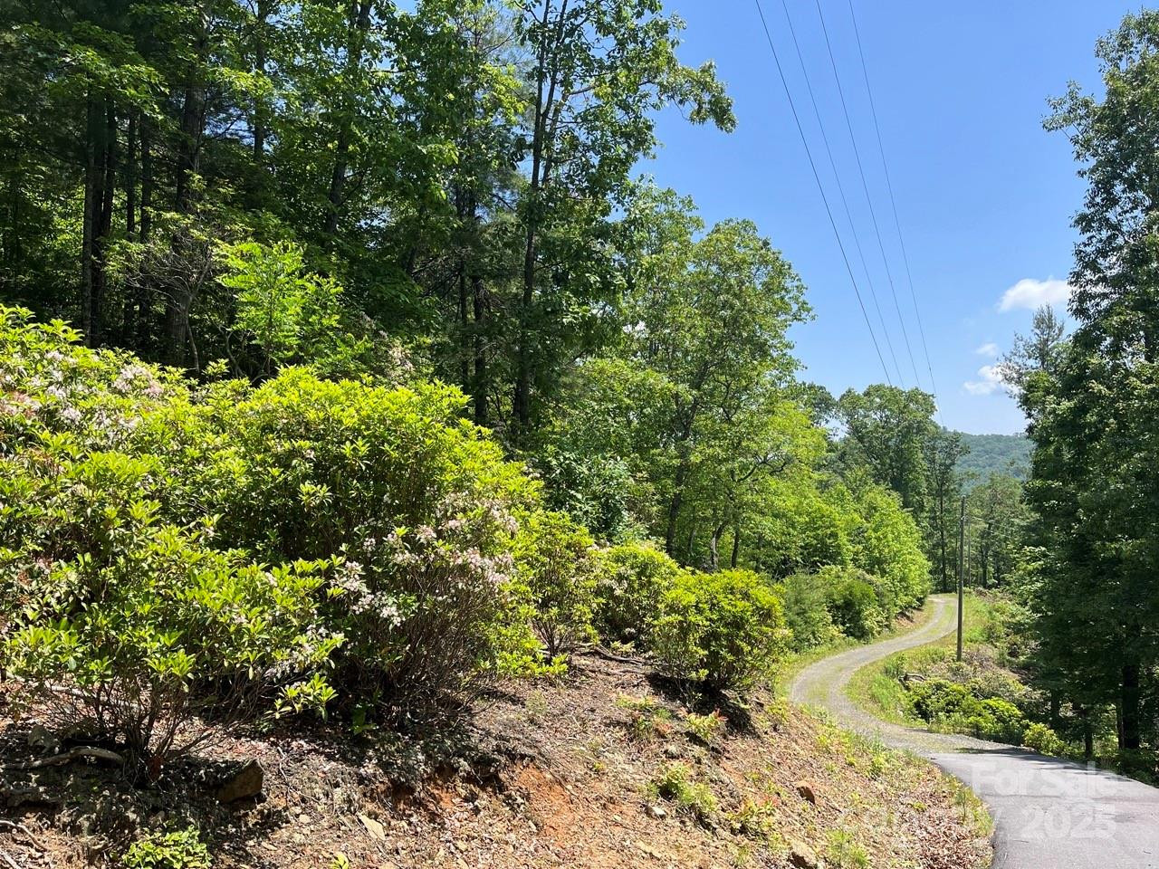 0000 Humpback Mountain Road - Photo 4