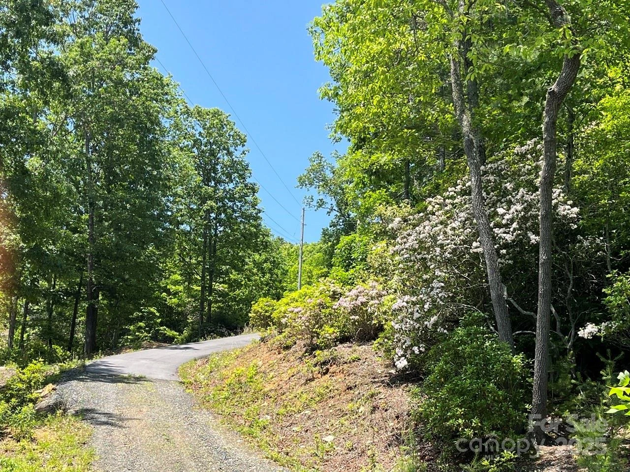0000 Humpback Mountain Road - Photo 6