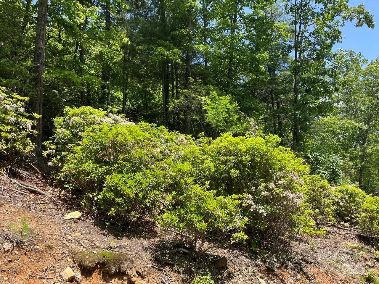 0000 Humpback Mountain Road - Photo 7