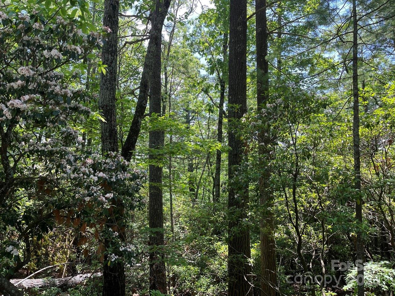 0000 Humpback Mountain Road - Photo 8