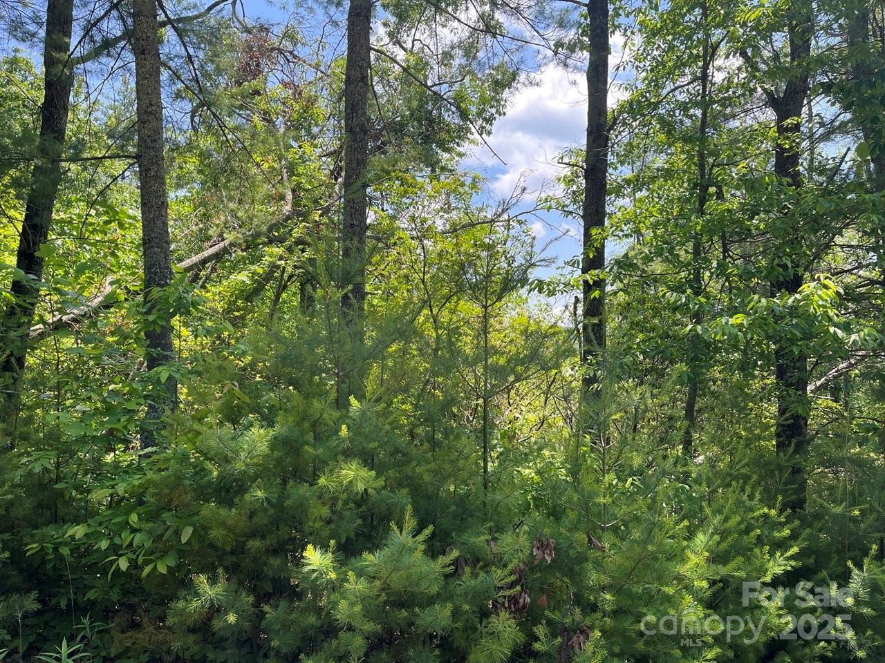 0000 Humpback Mountain Road - Photo 9