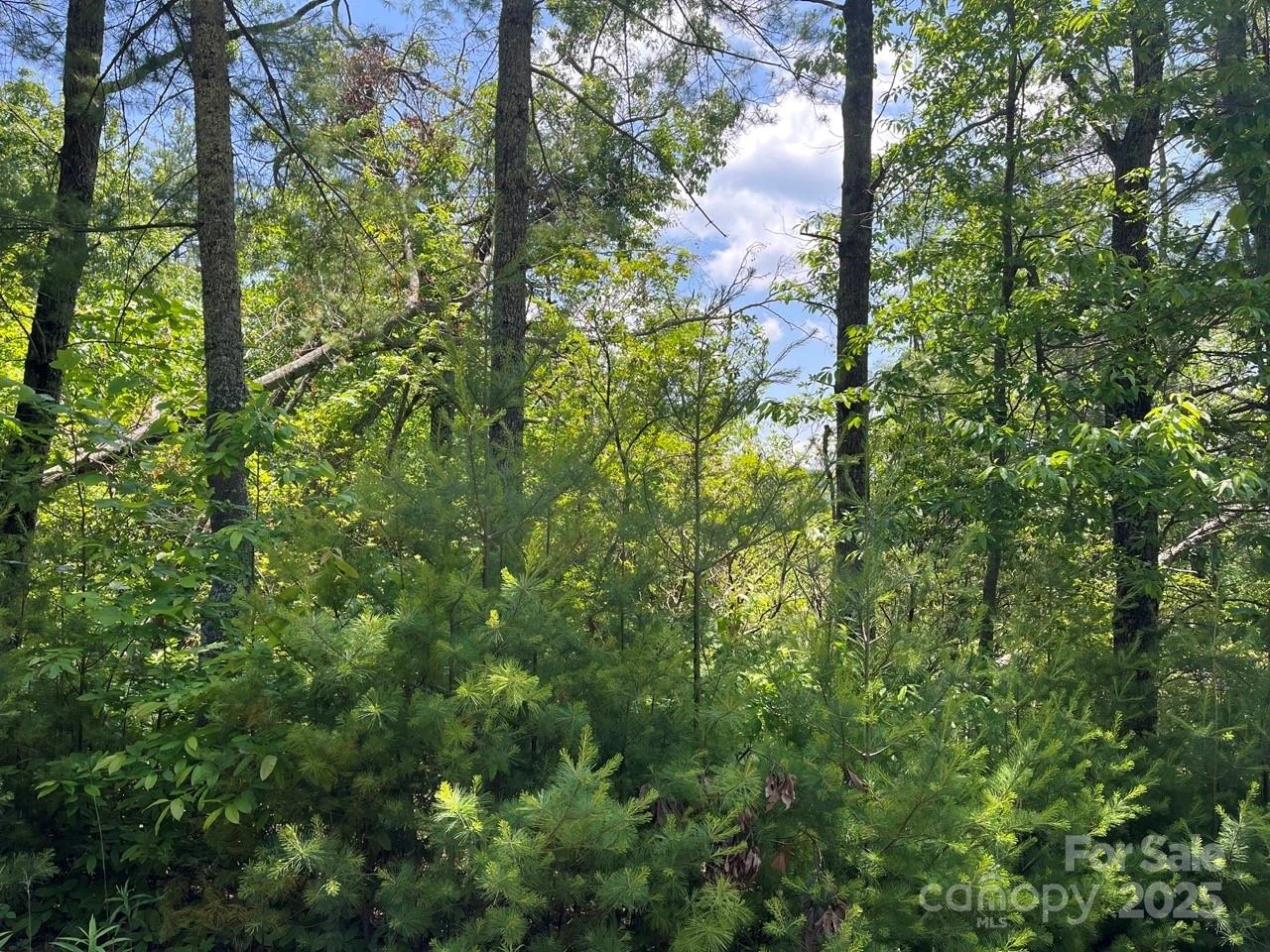 0000 Humpback Mountain Road - Photo 9