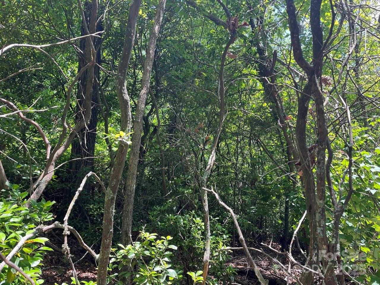 0000 Humpback Mountain Road - Photo 10