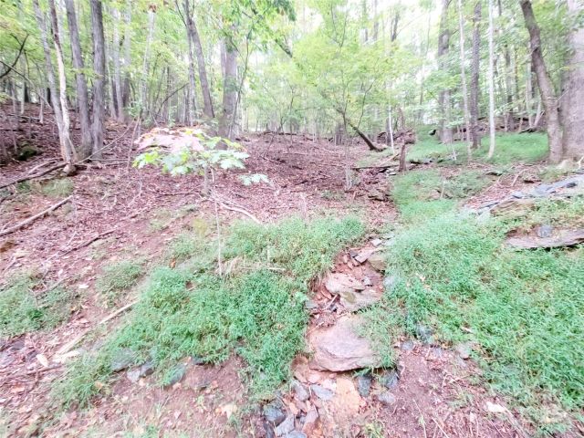 47 Sourwood Drive, Mills River, NC, 28759