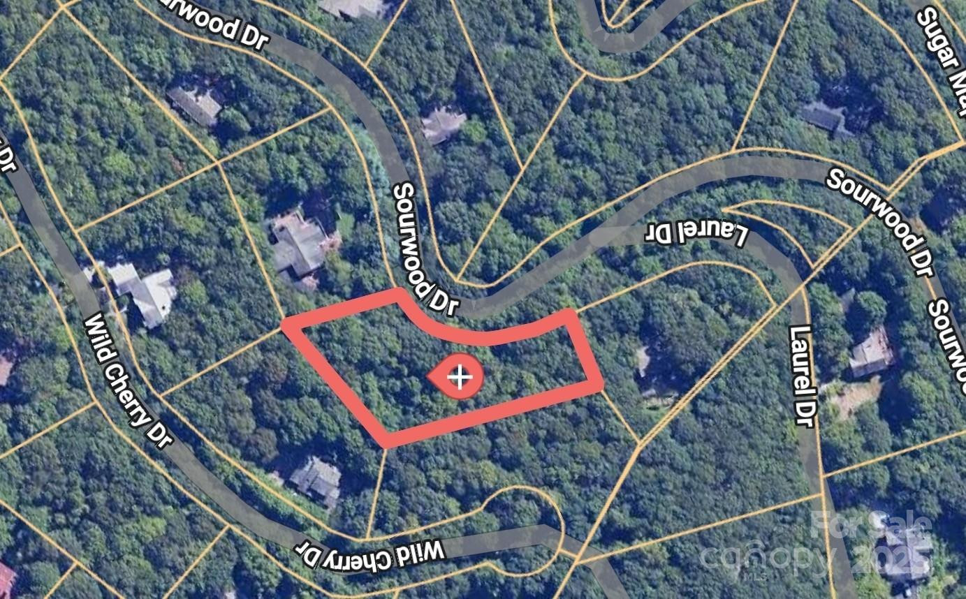 47 Sourwood Drive #197 - Photo 2