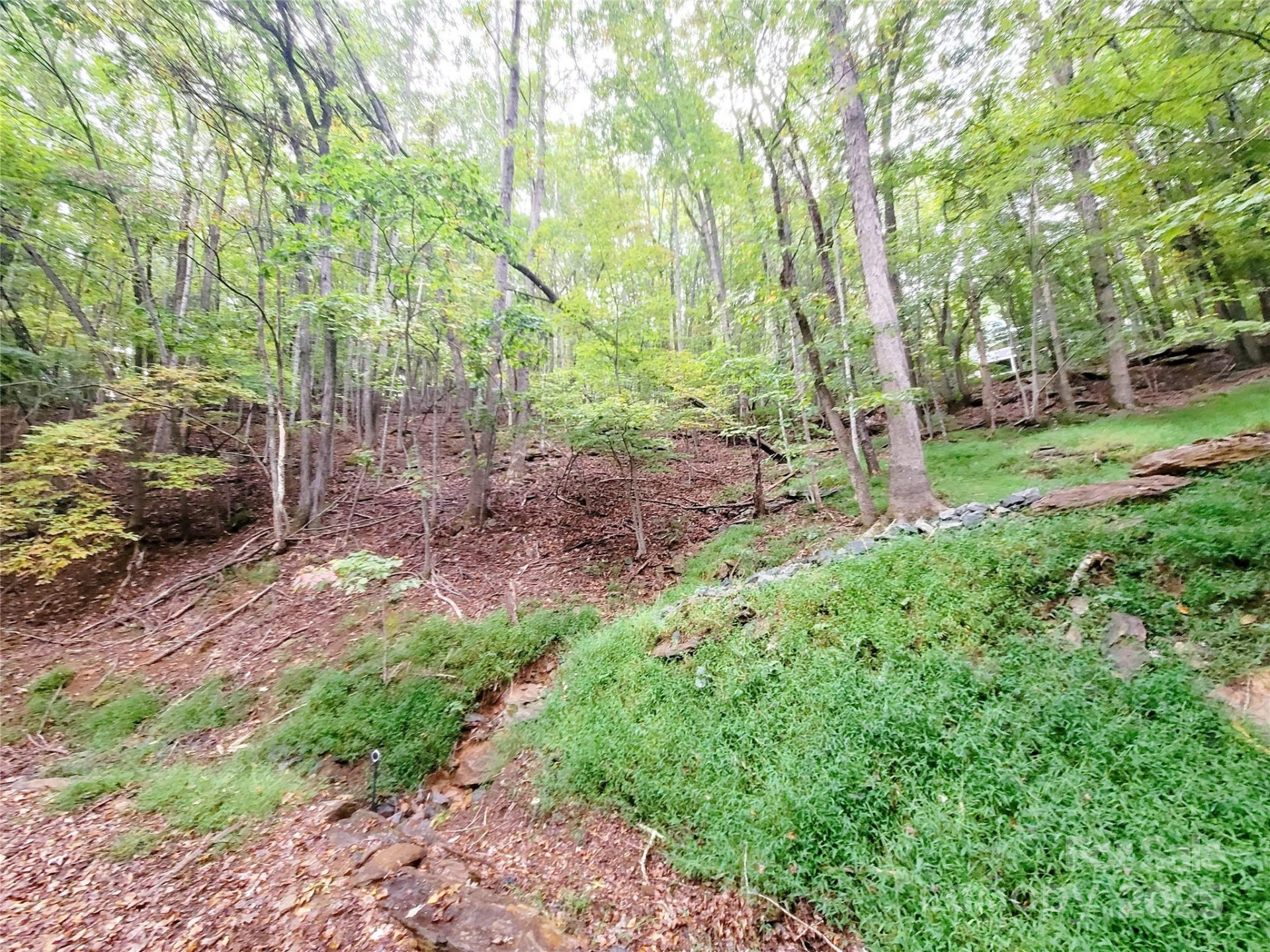 47 Sourwood Drive #197 - Photo 3