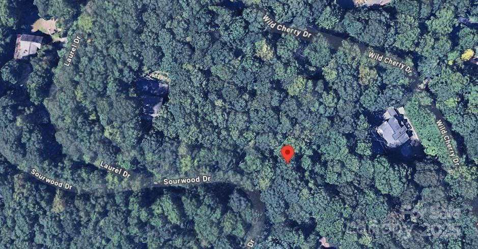 47 Sourwood Drive #197 - Photo 5