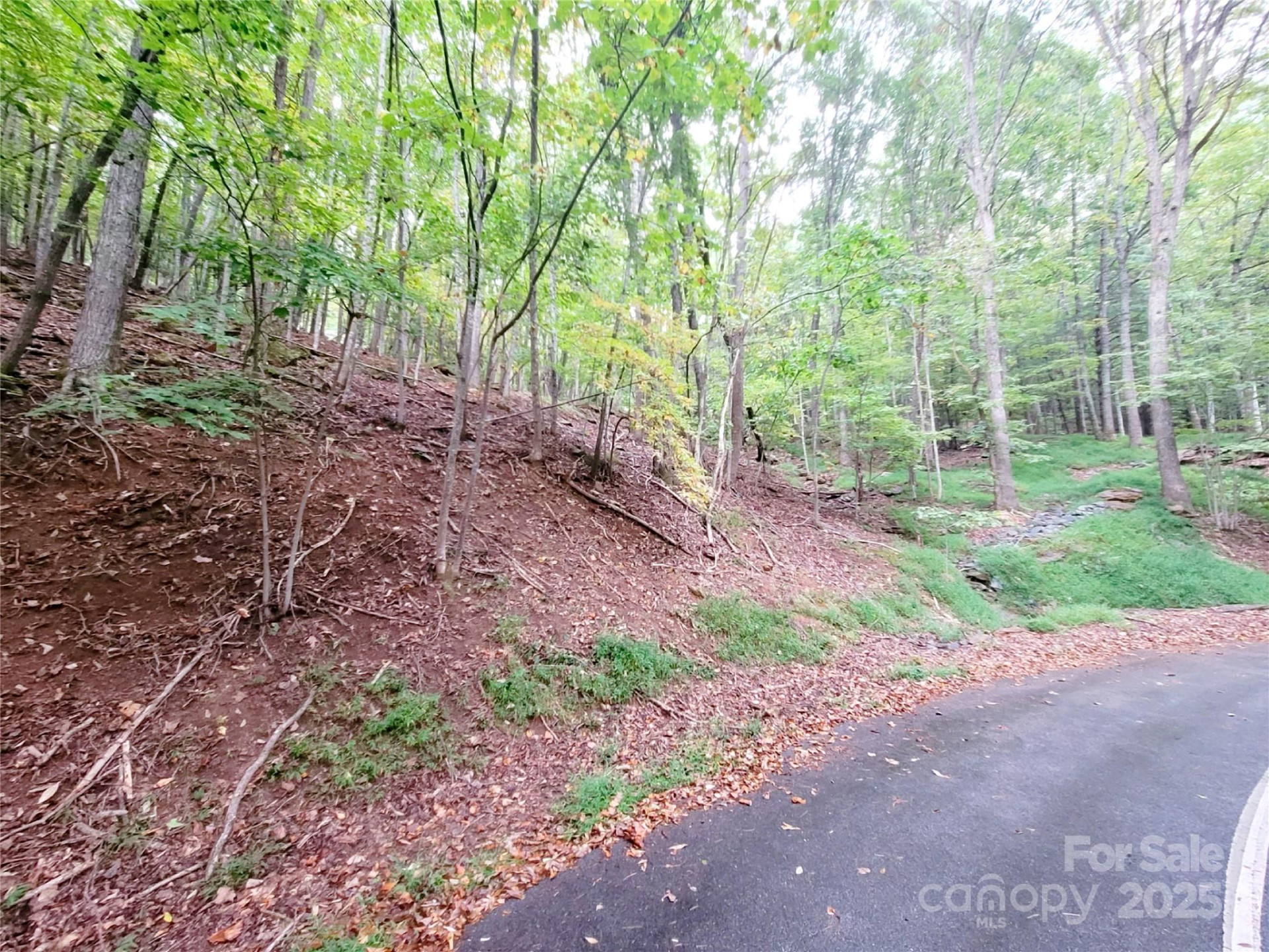 47 Sourwood Drive #197 - Photo 8