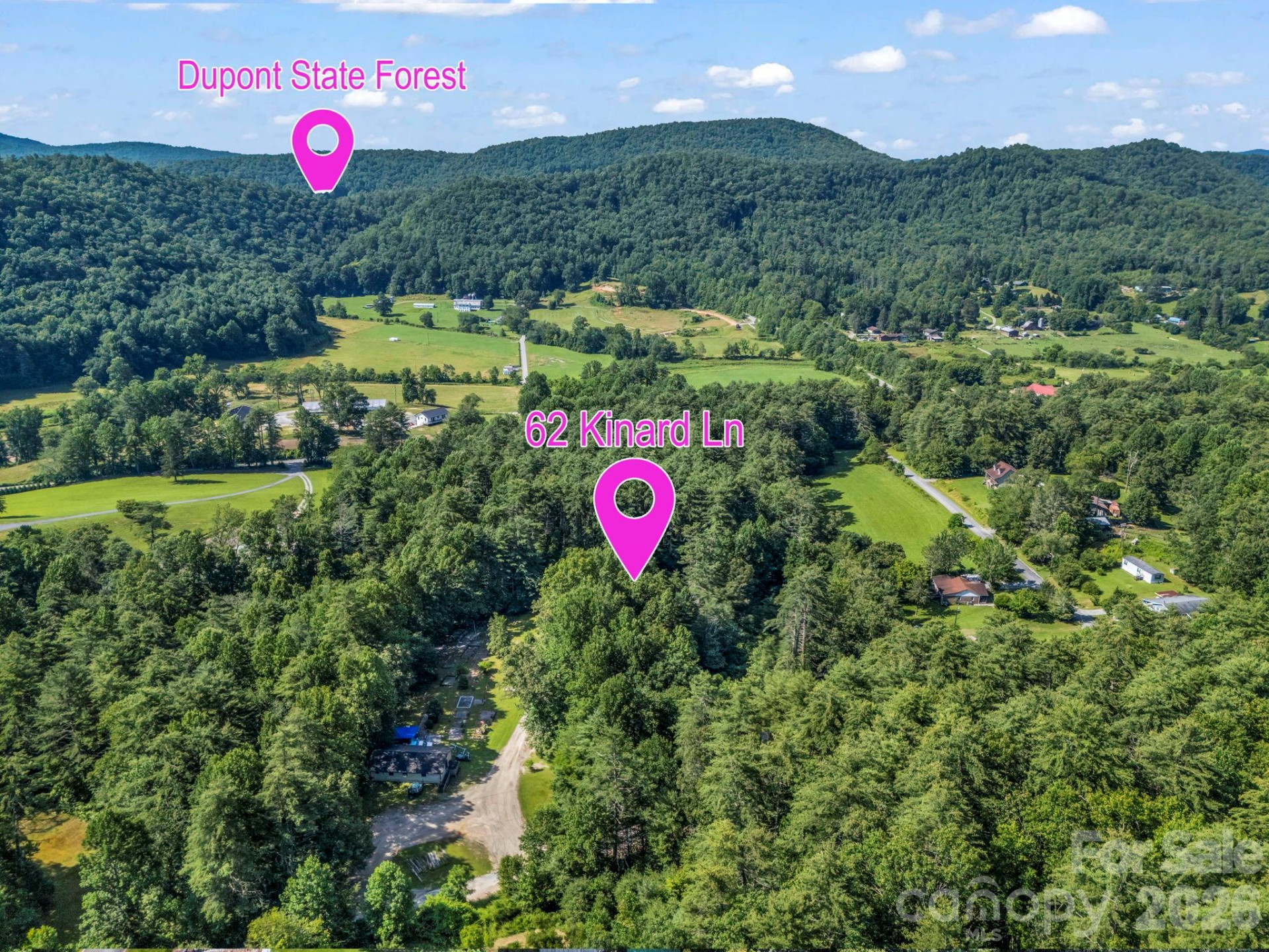 62 Kinard Lane - Photo 2