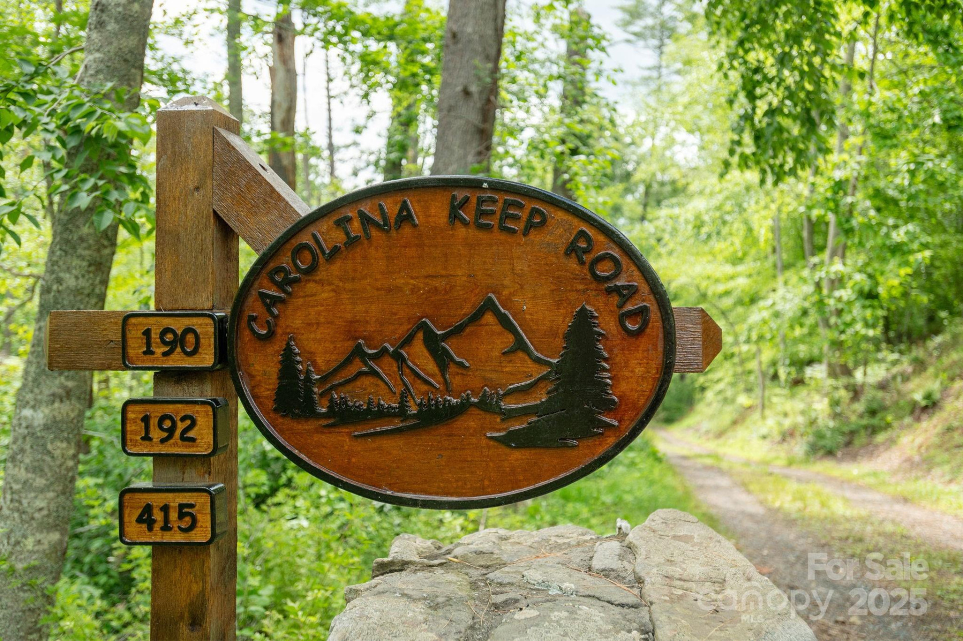 TBD Carolina Keep Road - Photo 13