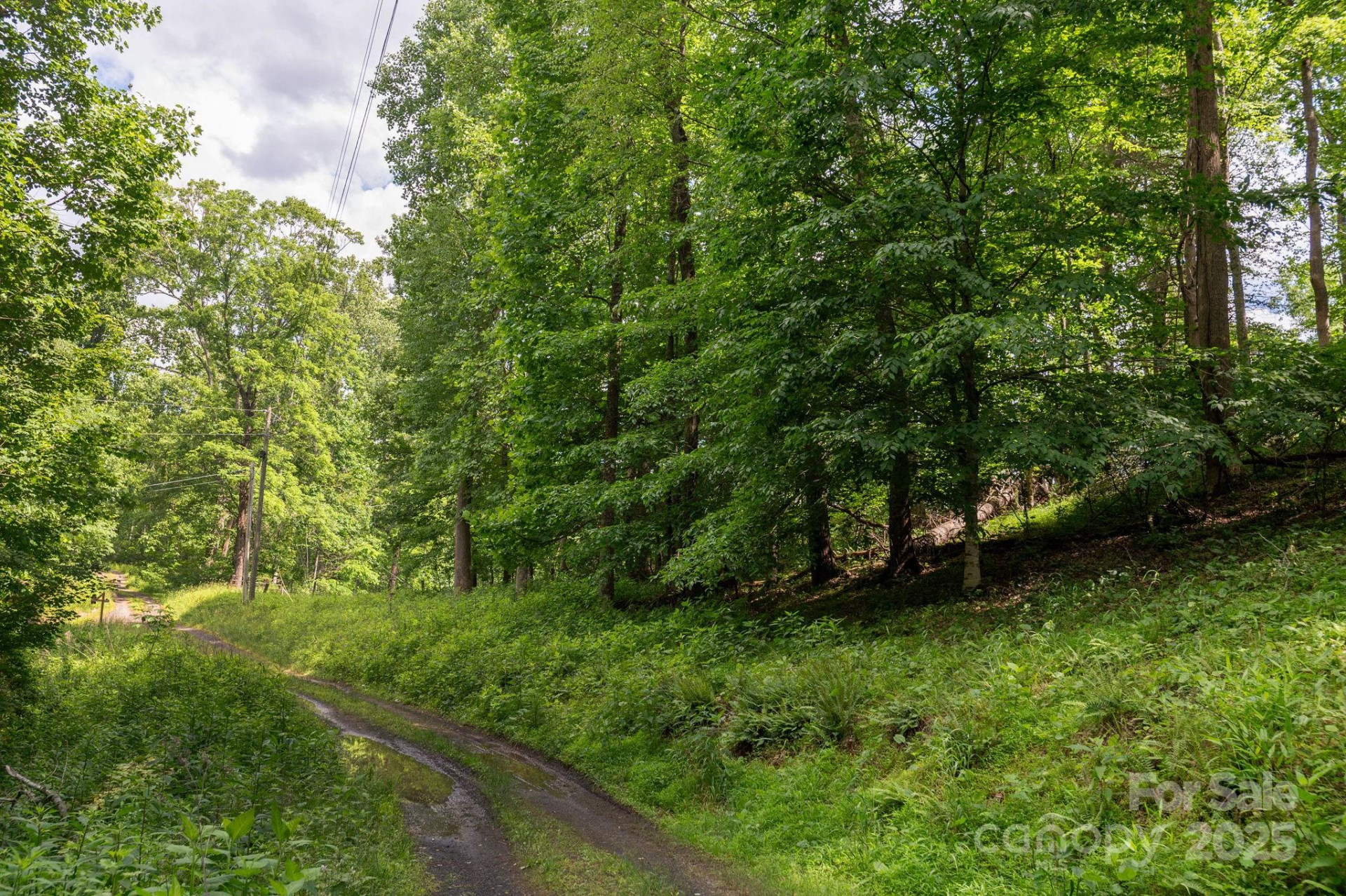 TBD Carolina Keep Road - Photo 4