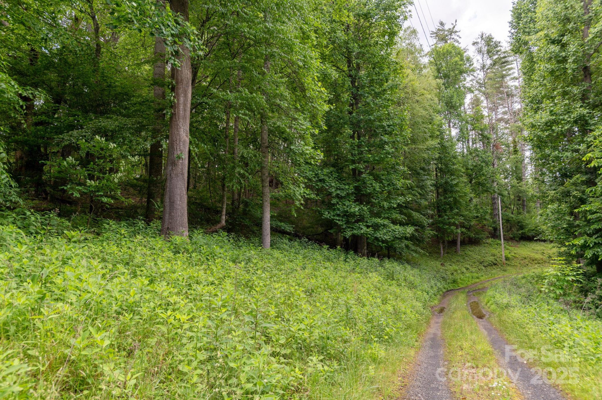 TBD Carolina Keep Road - Photo 6