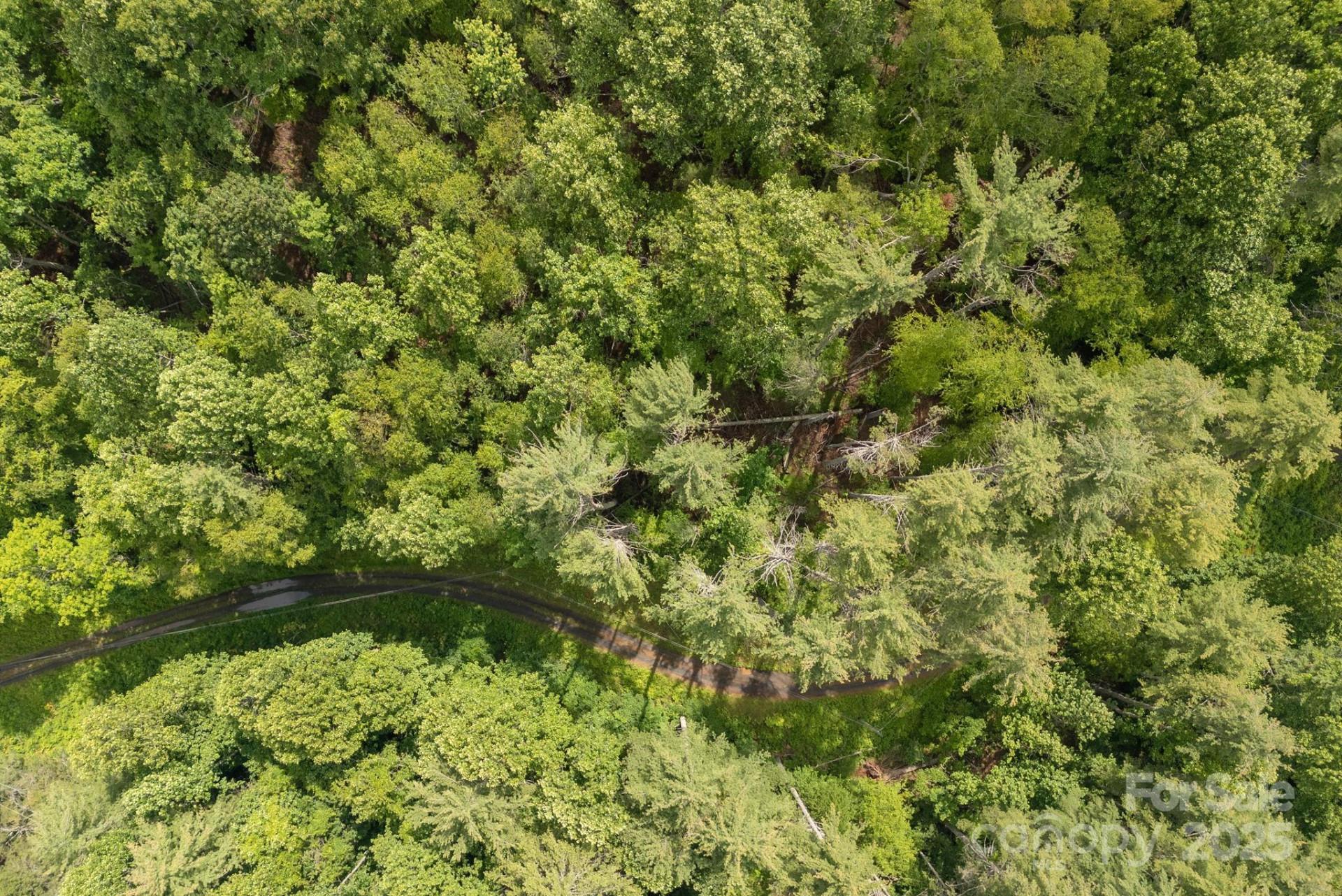 TBD Carolina Keep Road - Photo 8