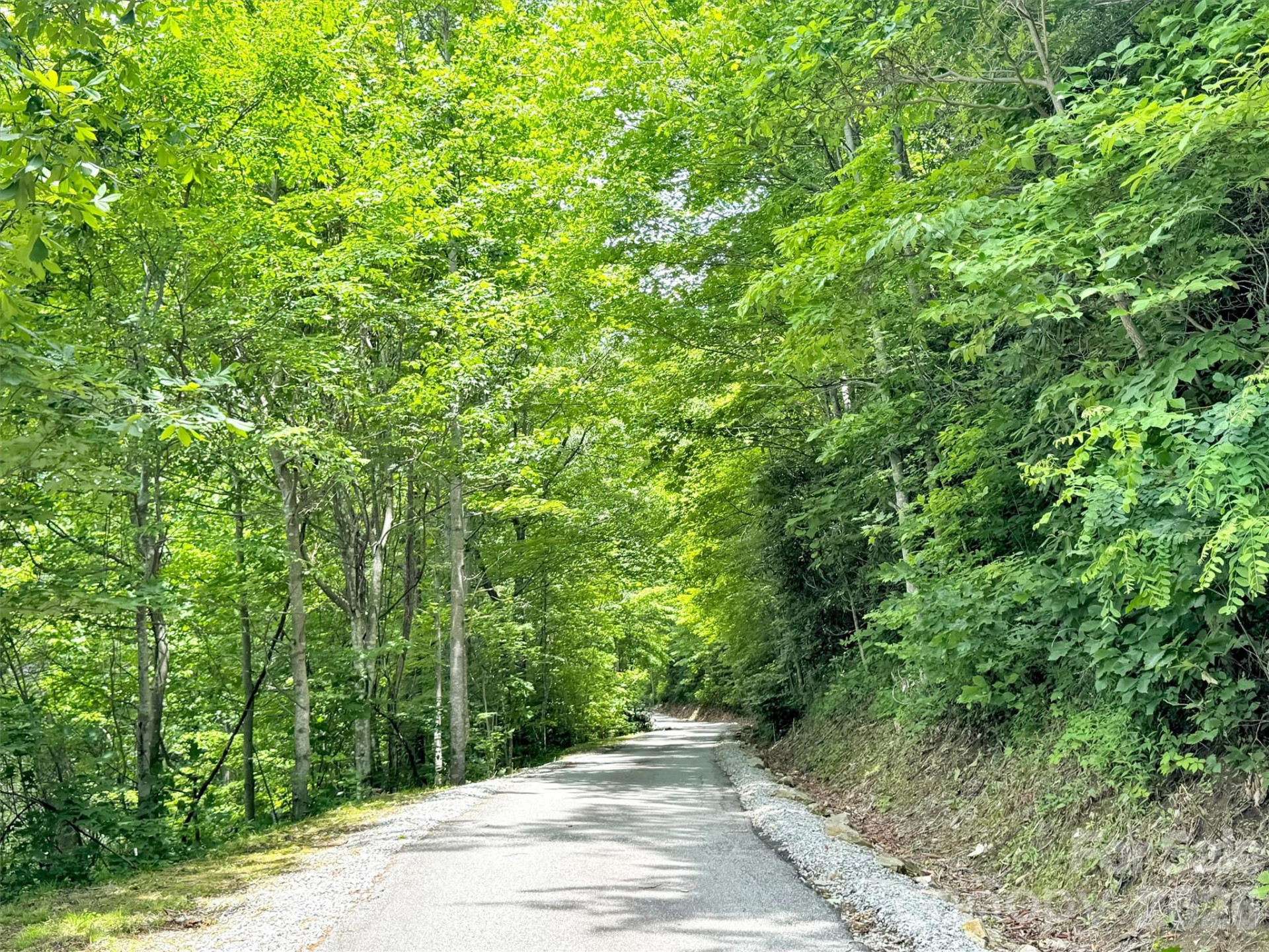 28 Mountain Breeze Drive - Photo 43