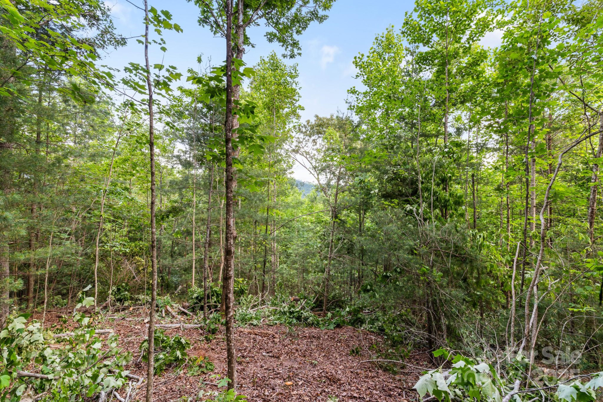 TBD Whitener Road #Parcel 3 - Photo 11