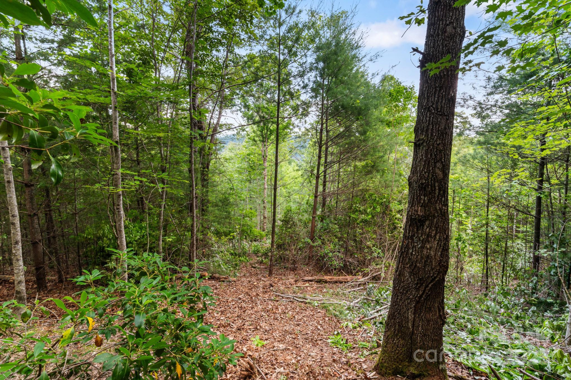 TBD Whitener Road #Parcel 3 - Photo 12