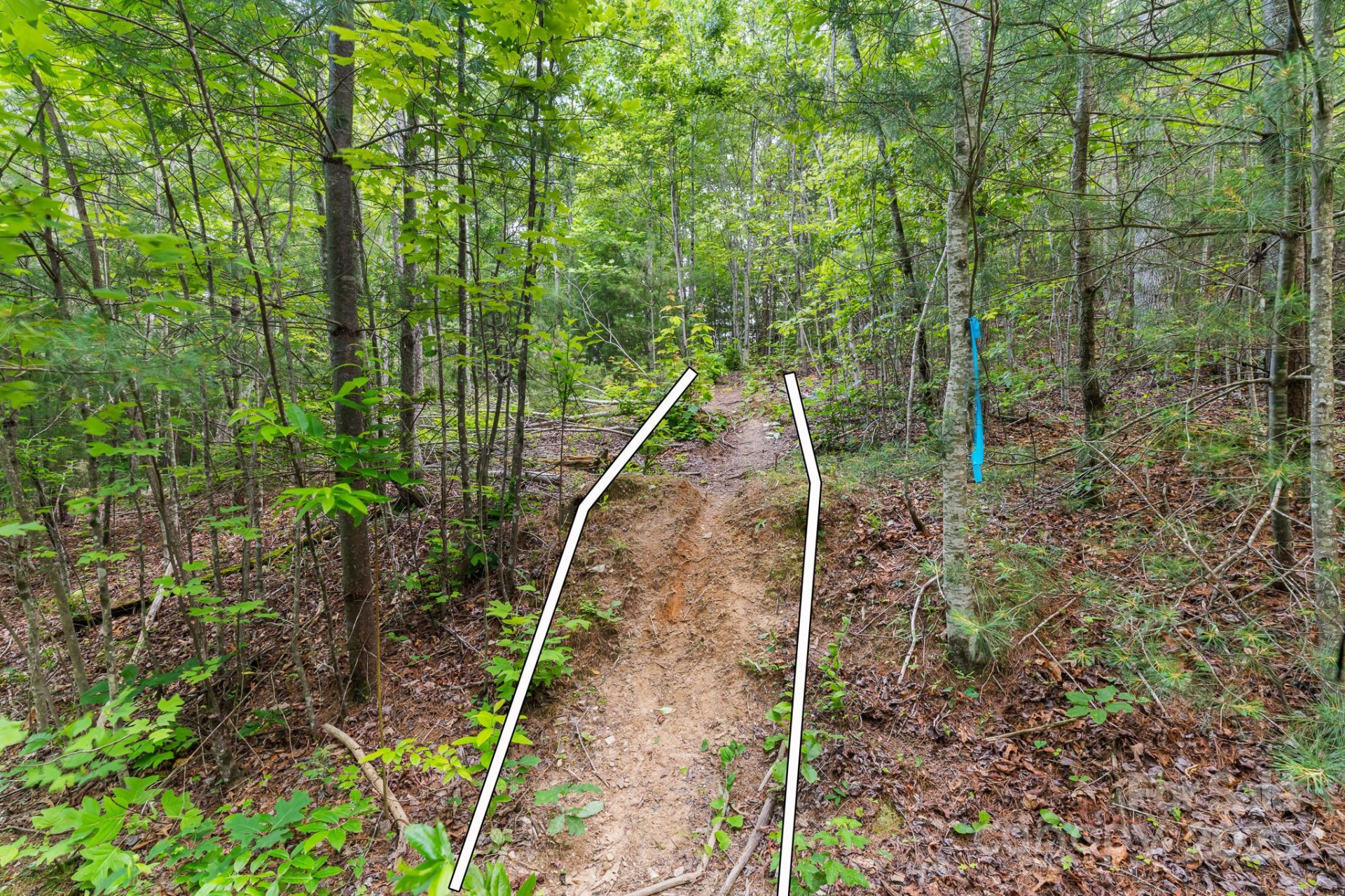 TBD Whitener Road #Parcel 3 - Photo 13