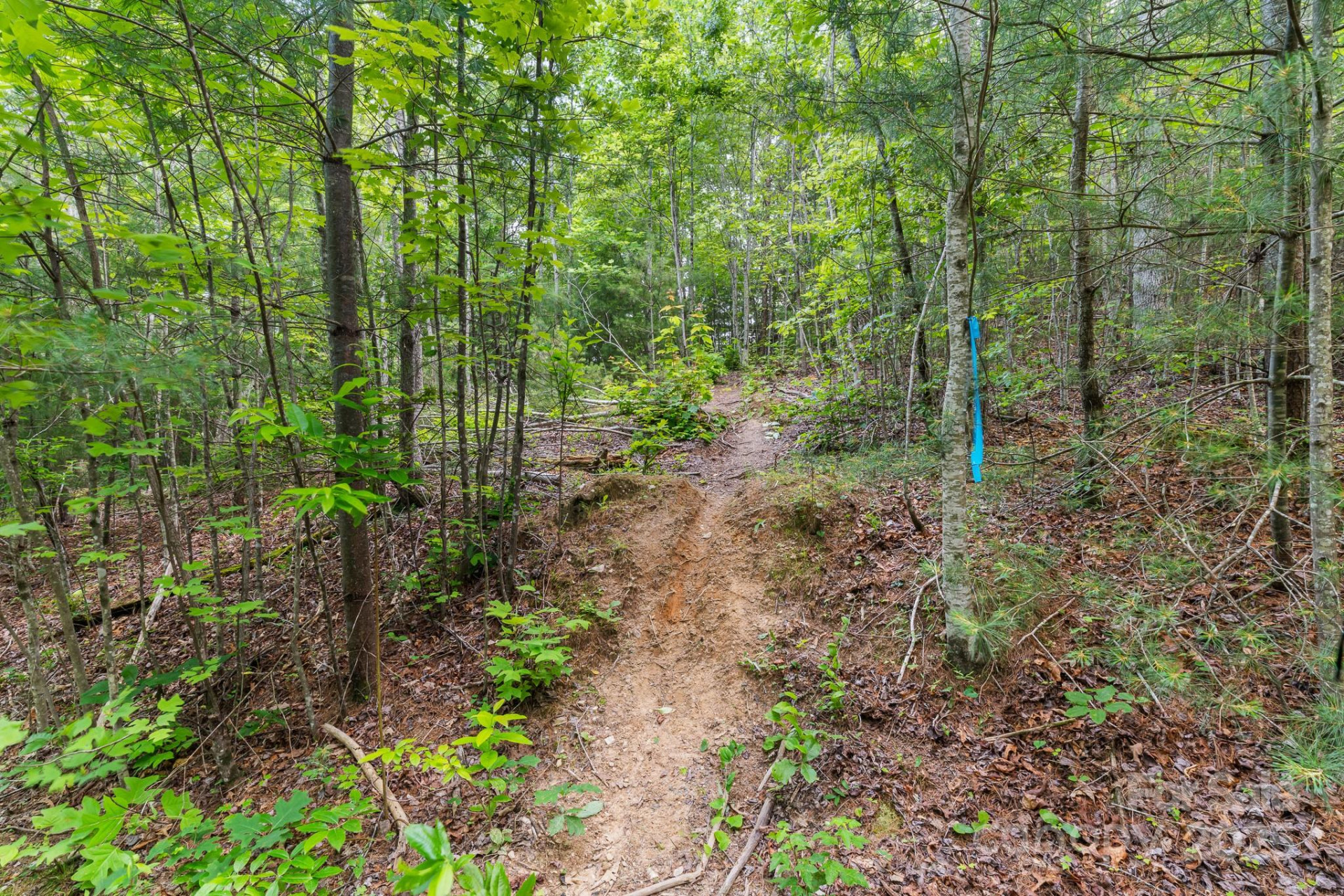 TBD Whitener Road #Parcel 3 - Photo 14