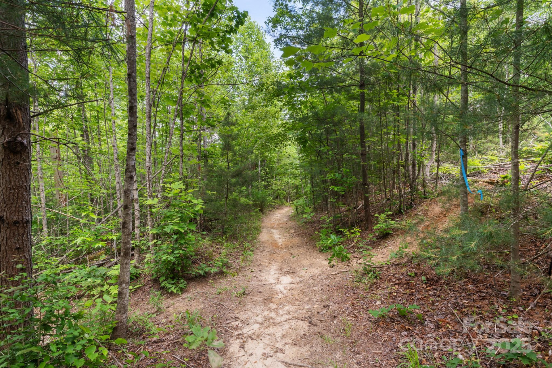 TBD Whitener Road #Parcel 3 - Photo 15