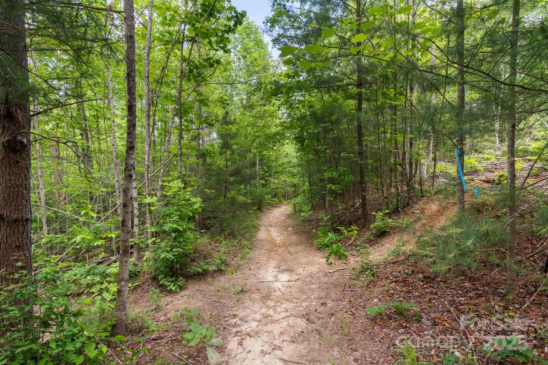 TBD Whitener Road #Parcel 3 - Photo 15