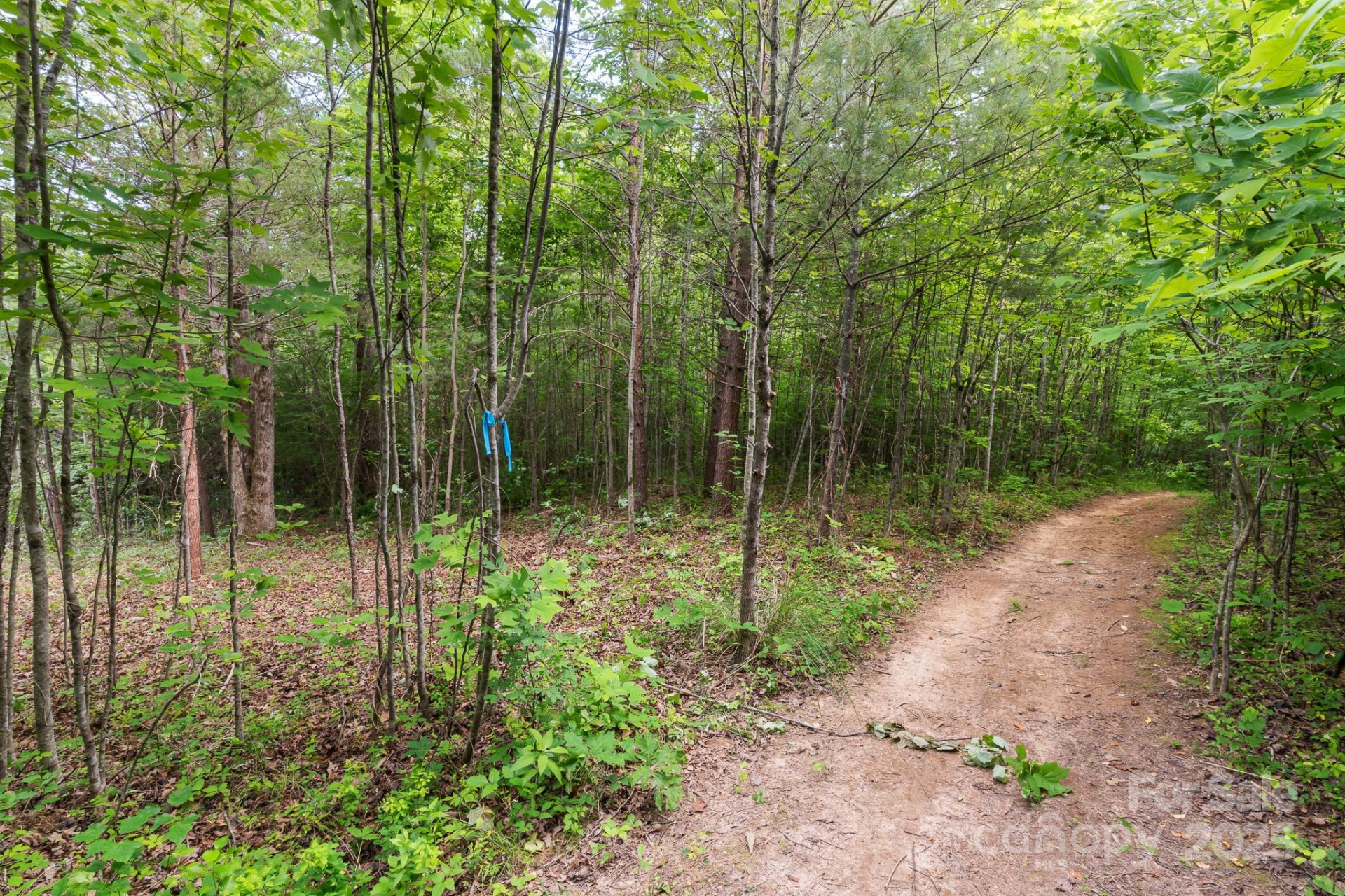 TBD Whitener Road #Parcel 3 - Photo 16