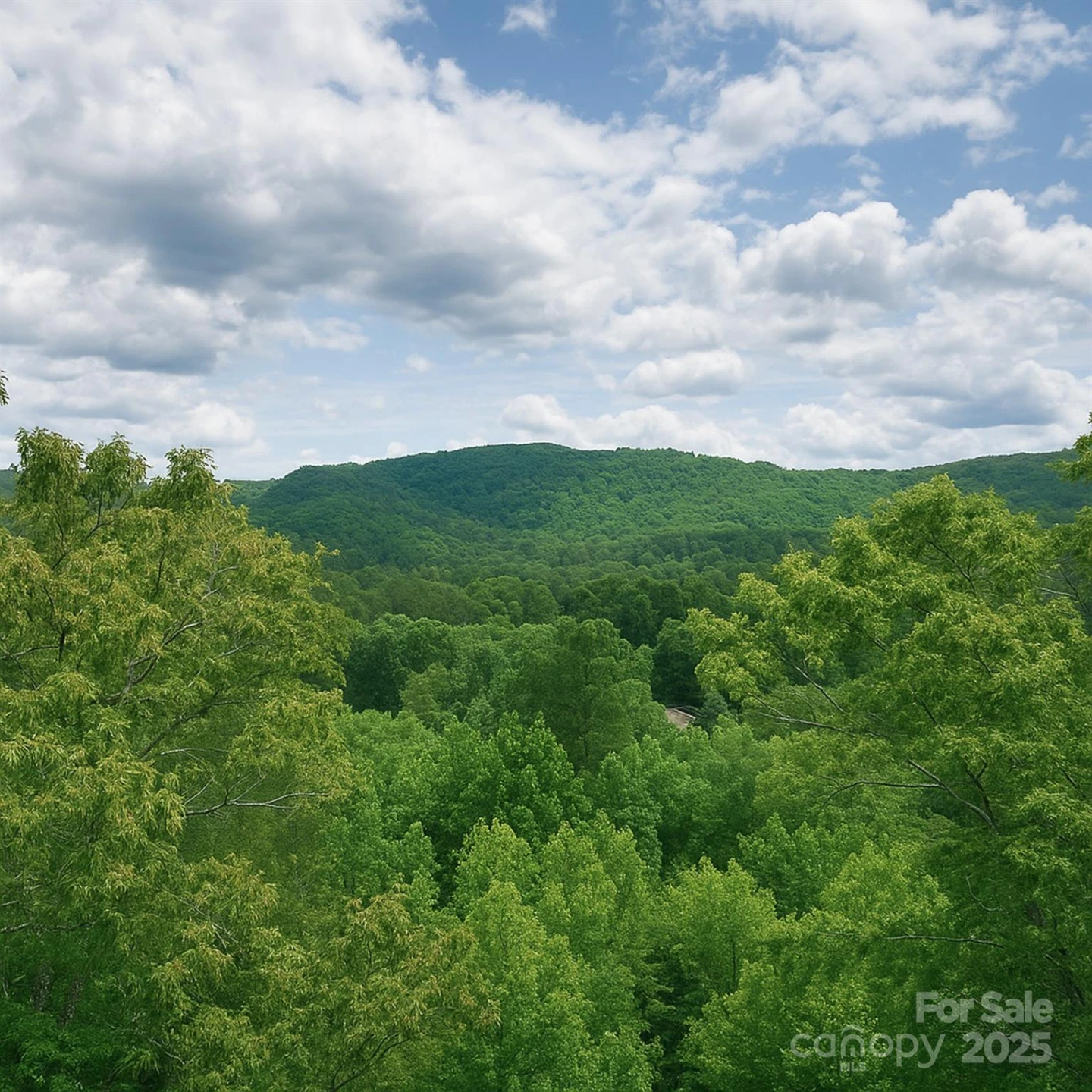 TBD Whitener Road #Parcel 3 - Photo 17