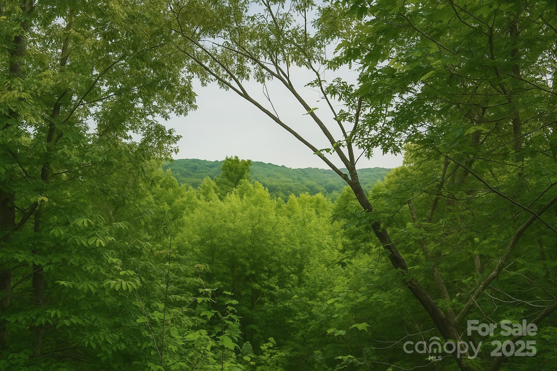 TBD Whitener Road #Parcel 3 - Photo 18