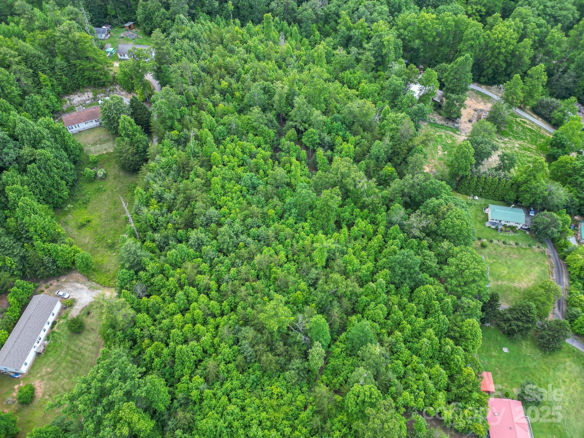 TBD Whitener Road #Parcel 3 - Photo 3