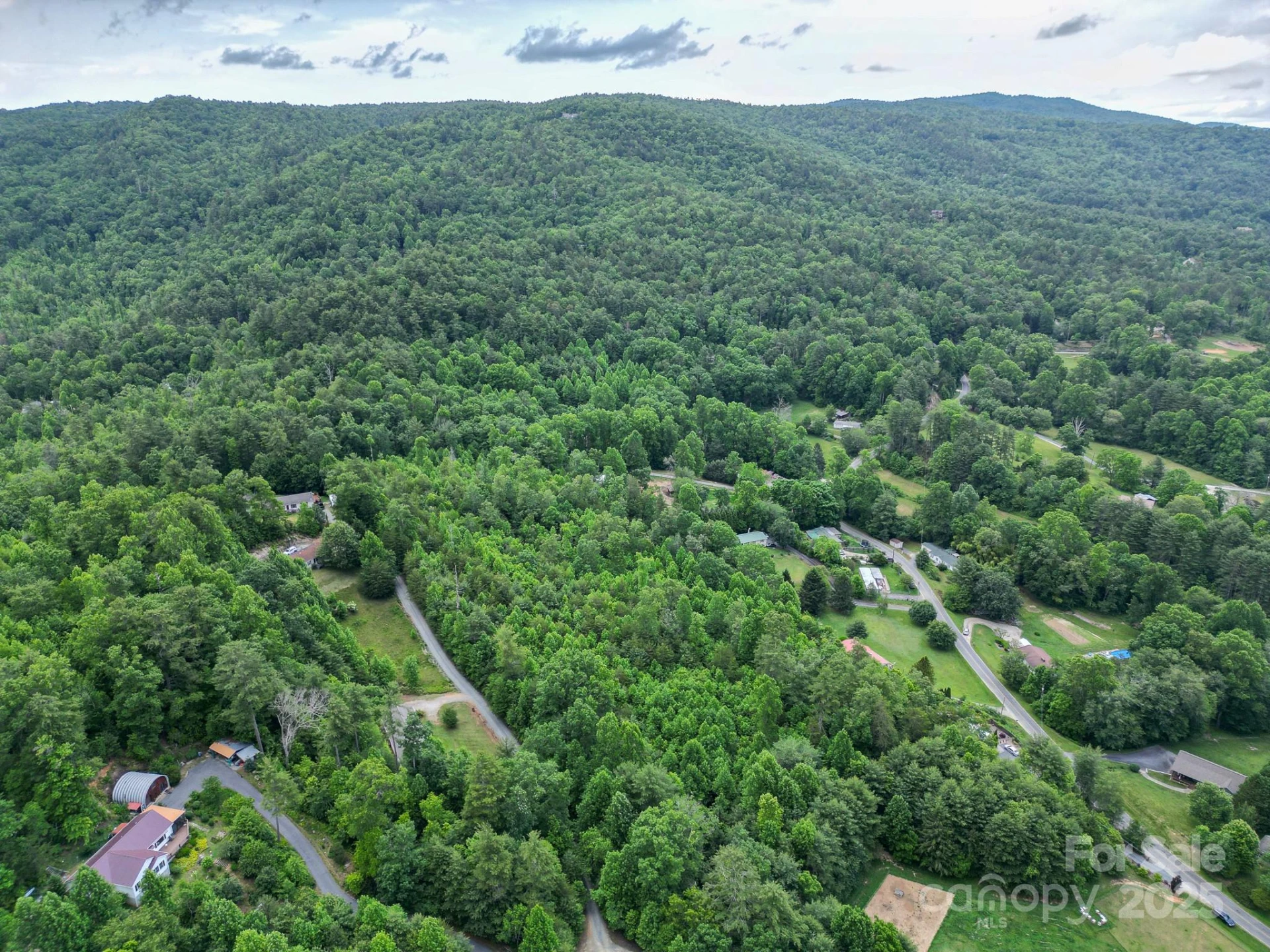 TBD Whitener Road #Parcel 3 - Photo 6