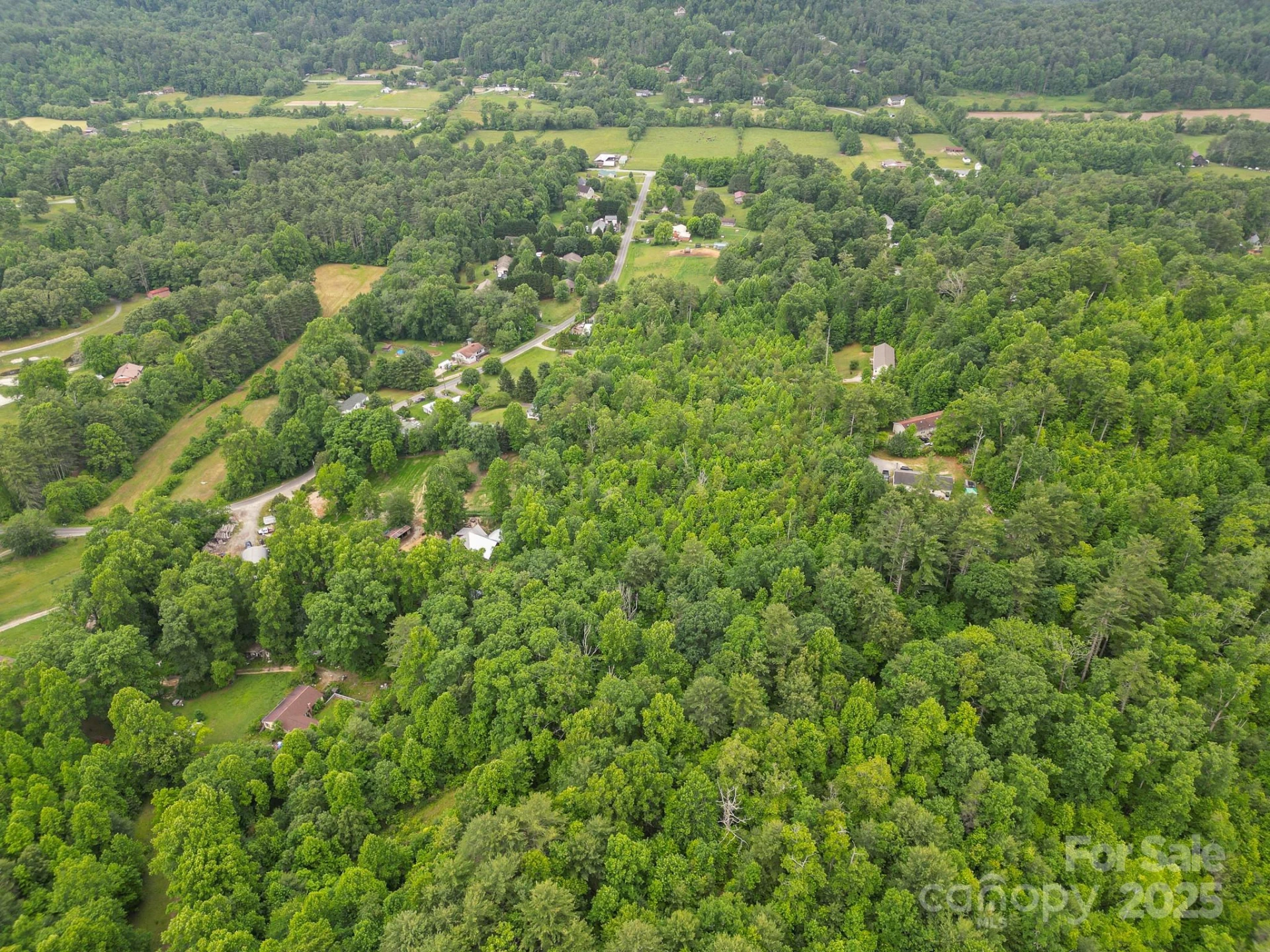 TBD Whitener Road #Parcel 3 - Photo 7