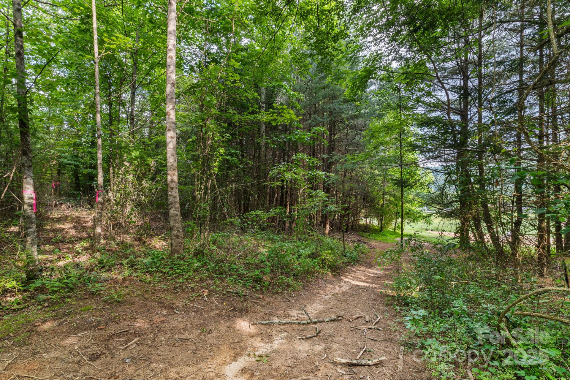 TBD Whitener Road #Parcel 3 - Photo 10