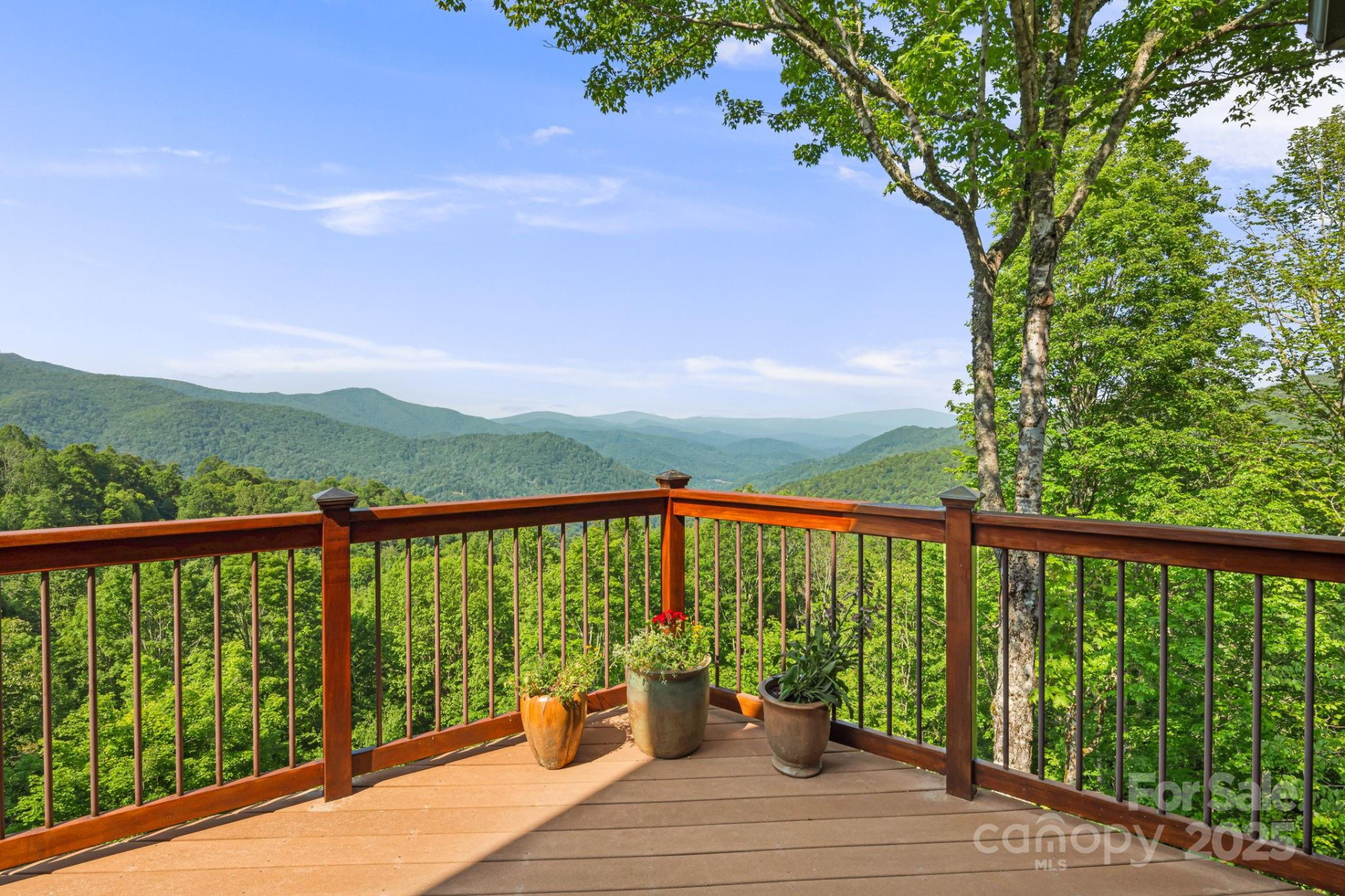 197 Cherry Knob Drive - Photo 15