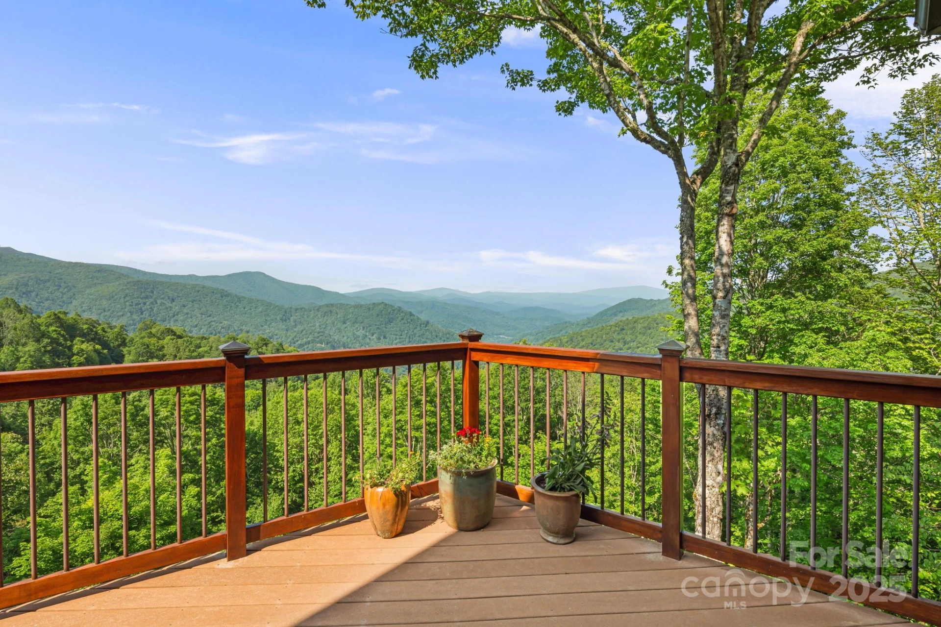 197 Cherry Knob Drive - Photo 15