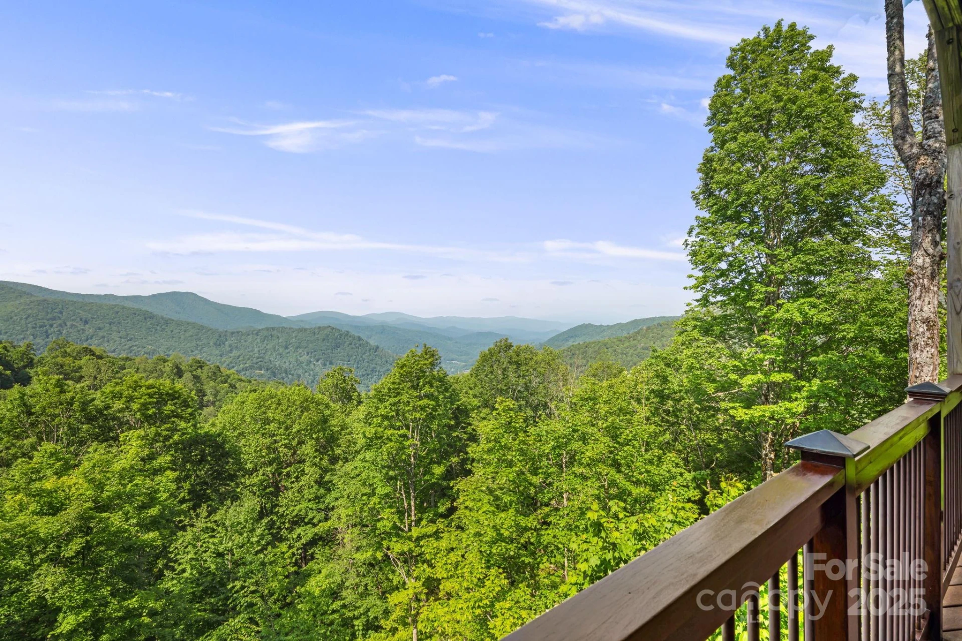 197 Cherry Knob Drive - Photo 41