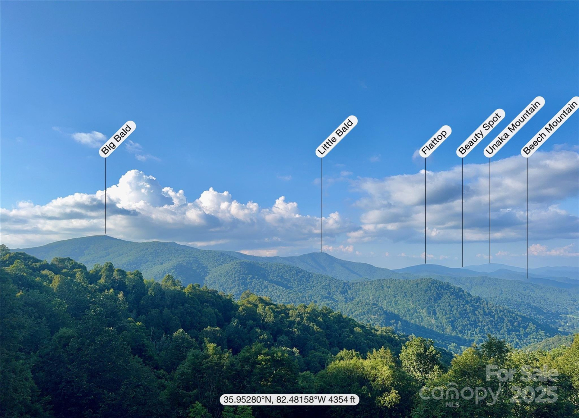 197 Cherry Knob Drive - Photo 45